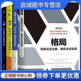 百花洲文艺出版 正版 9787550031241 李奕飞 社 现货直发格局