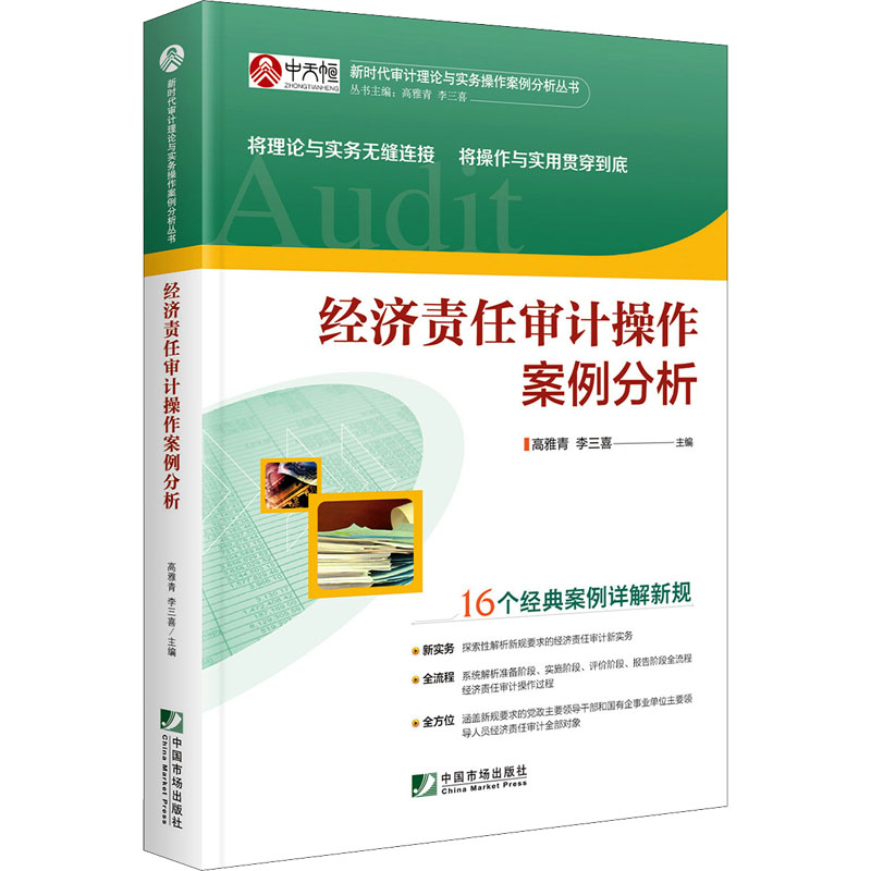 正版现货直发经济责任审计操作案例分析 审计 经管、励志 中国市场出版社有限公司