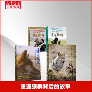 重返狼群背后的故事李微漪//红娟中国现当代文学文学海南出版社等
