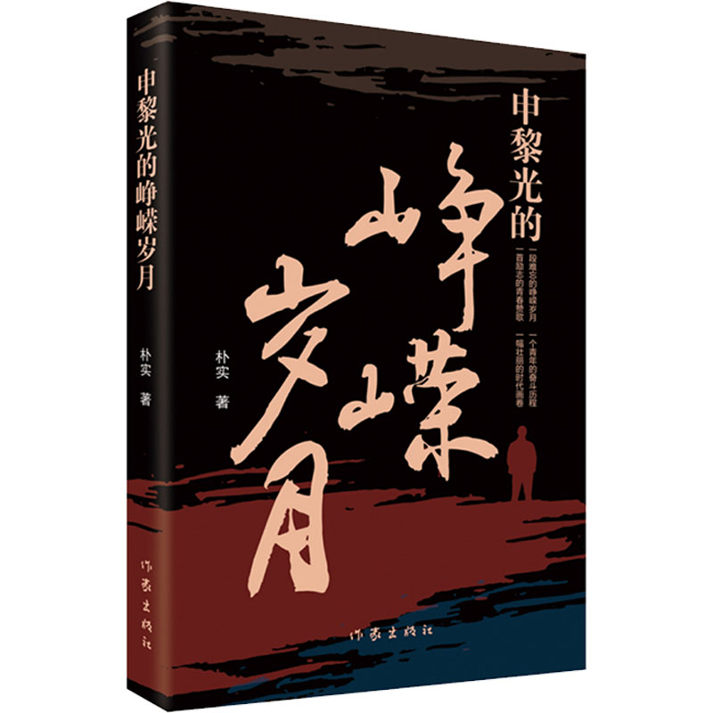 申黎光的峥嵘岁月 朴实 官场、职场小说 文学 作家出版社