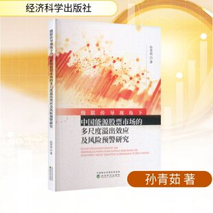级联传导视角下中国能源股票市场的多尺度溢出效应及风险预警研究孙青茹 著财政金融经管、励志经济科学出版社