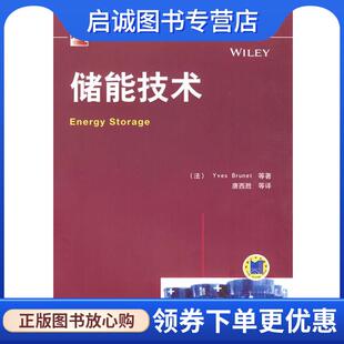 唐西胜 社 法 机械工业出版 9787111414452 等译 等著 Brunet Yves 现货直发储能技术 正版