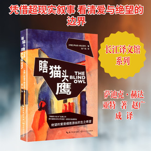 瞎猫头鹰（长江译文馆）(伊朗)萨迪克·赫达亚特 著外国现当代文学文学长江文艺出版社