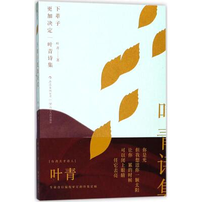 下辈子更加决定 叶青 著 诗歌 文学 四川人民出版社