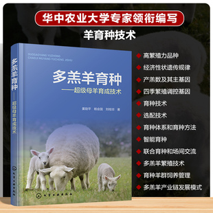 刘桂琼养殖专业科技化学工业出版 杨会国 社9787122486752 超级母羊育成技术姜勋平 多羔羊育种——