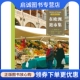 在欧洲 上海人民出版 逛市集 韩良忆 社9787208101715 荷兰 正版