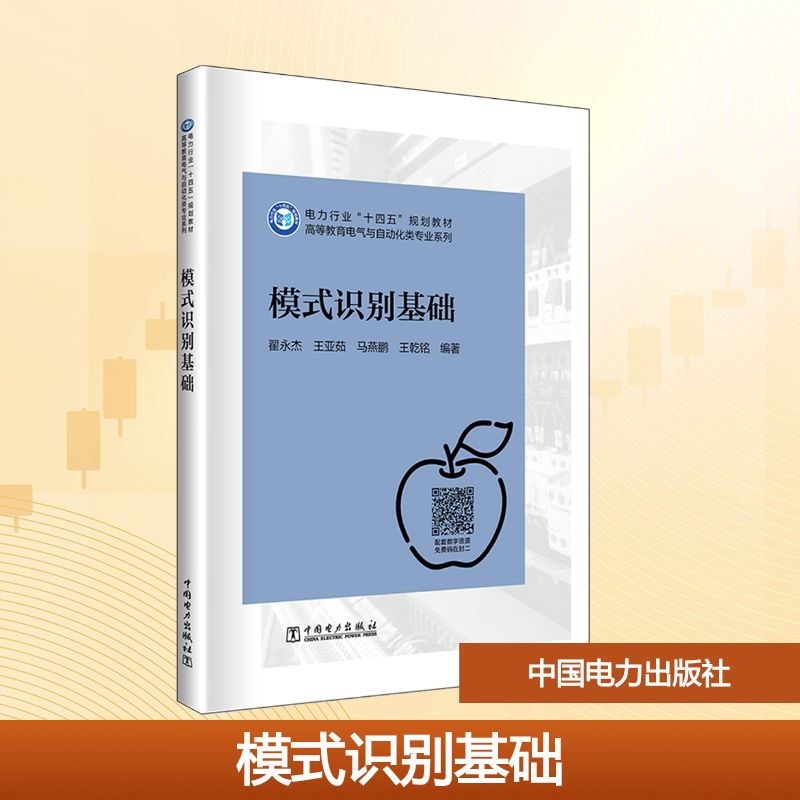 模式识别基础：大中专理科科技综合大中专中国电力出版社