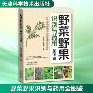 野菜野果识别与药用全图鉴种植业专业科技天津科学技术出版社9787574234079