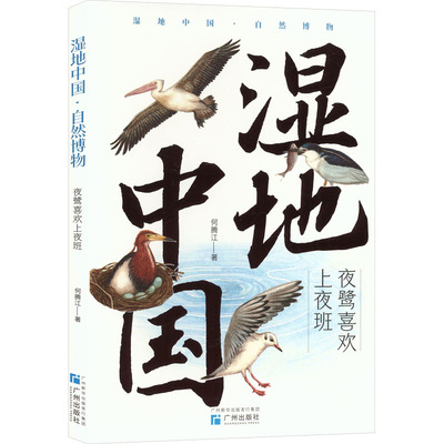 夜鹭喜欢上夜班何腾江 著儿童文学少儿广州出版社