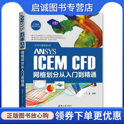正版现货直发ANSYS ICEM CFD网格划分从入门到精通 丁源 著 9787302546481 清华大学出版社