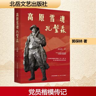 高原雪魂——孔繁森郭保林 著杂文文学北岳文艺出版社