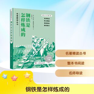 名著精读丛书：钢铁是怎样炼成的[苏]尼古拉·奥斯特洛夫斯基 著儿童文学少儿湖南少年儿童出版社