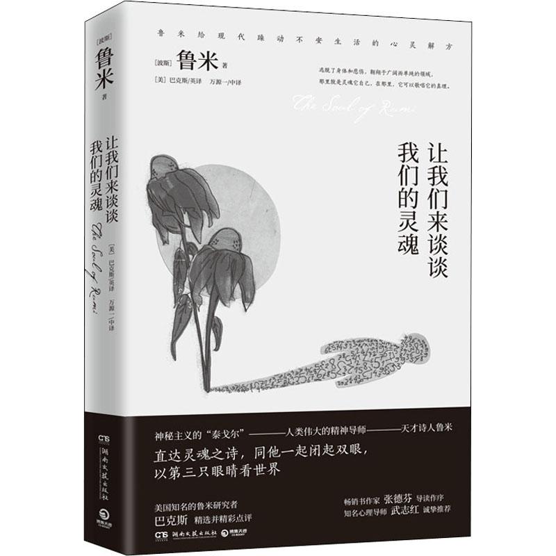 让我们来谈谈我们的灵魂(波斯)莫拉维·贾拉鲁丁·鲁米诗歌文学湖南文艺出版社