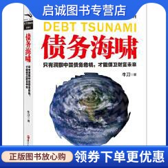 正版债务海啸 牛刀 浙江人民出版社 9787213056901