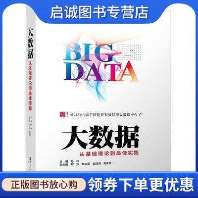 正版现货直发大数据:从基础理论到佳实践 祁伟,刘冰,常志军,赵廷涛,高俊秀 9787302457435 清华大学出版社