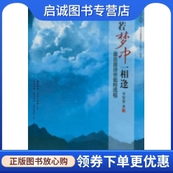 正版现货直发 恍若梦中一相逢:谁在唐诗中代吟浅唱 胥智慧  著 陕西师范大学出版社 9787561349274