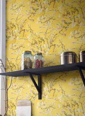 荷兰BN进口墙纸壁纸梵高 17140 17143 17145 17146 220060 220061