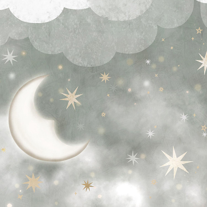 瑞典进口定制壁画墙画stars in the sky简约夜晚星空月亮背景墙纸