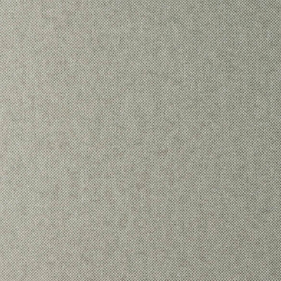 70103比利时原装进口墙纸