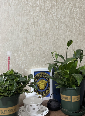 Q德国玛堡Marburg原装进口正品墙纸77855/21432素色轻奢壁纸现货