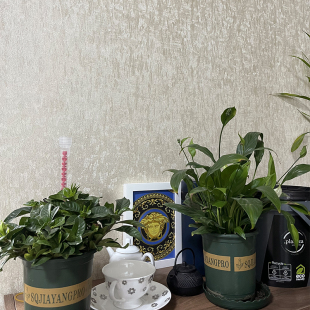 21432素色轻奢壁纸现货 墙纸77855 Q德国玛堡Marburg原装 进口正品