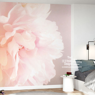 Light Pink Peony瑞典原装进口定制壁画 粉色大花 现代轻奢背景墙