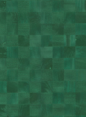 比利时ARTE原装进口墙布38225 38226 38227 38228 38229 38230