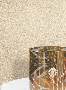 Roberto cavalli意大利进口墙纸壁纸RC19016 19018素色小皮纹现货