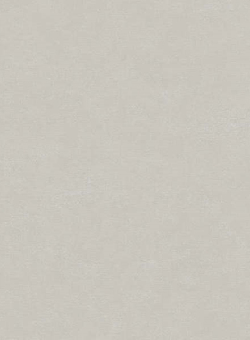 德国原装进口壁纸墙纸 30116 30117 30118 30119 30120 30121素色