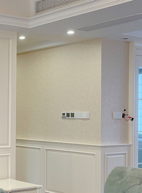 德国品牌原装进口壁纸正品素色墙纸 80848 80852 现货 80853暗花