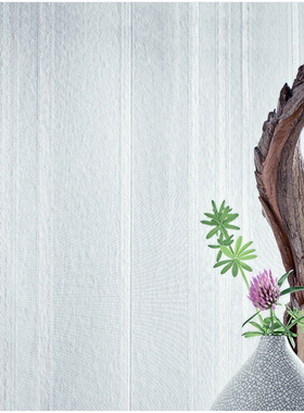 德国原装进口墙纸壁纸30628 30629 30630 30631 30632 30634竖条