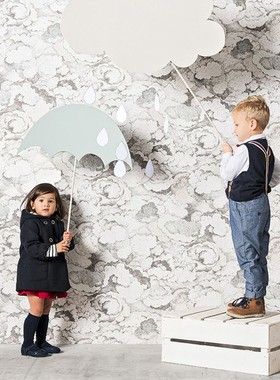 网红轻奢荷兰BN进口墙纸219262 219263乌云朵现货北欧背景墙壁纸