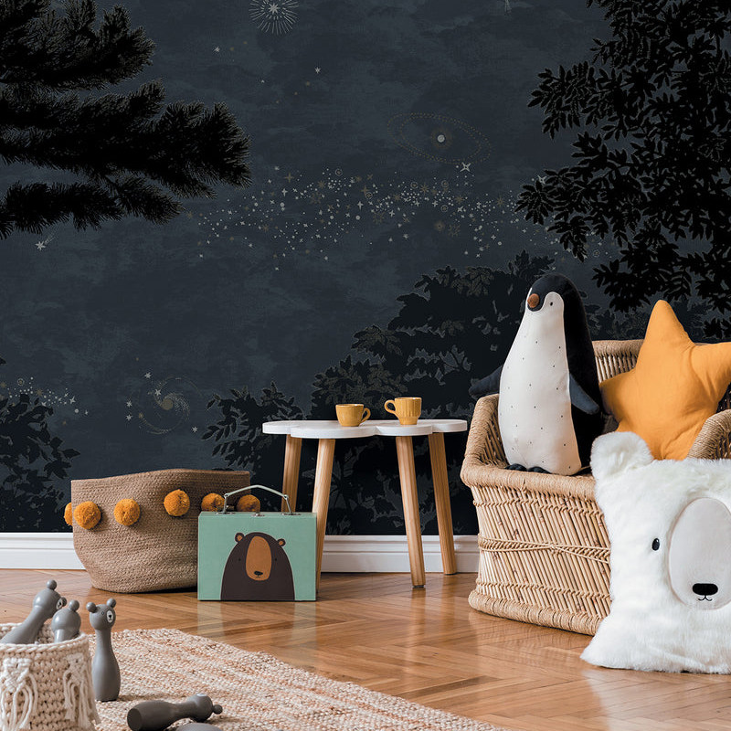 Eclipse Nocturne Panel 法国原装进口定制壁画 暗夜 星光背景墙