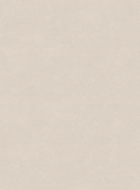 德国原装进口壁纸墙纸 30109 30110 30111 30112 30113 30114素色