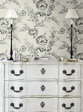 美国KT正品进口壁纸SY40300 SY40302 SY40330 藤花滕叶美式墙纸