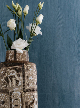 德国Opulence原装进口壁纸墙纸 58245 58246 58247 58248 58249