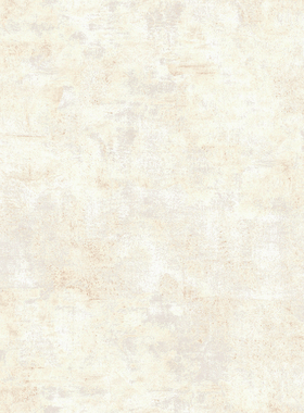 美国WQ进口壁纸AC41401 41402 41405 41408纯色素色斑驳复古墙纸