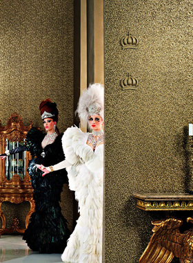 德国原装进口正品墙纸壁纸52504现货 52505 52506 叶子翅膀欧式