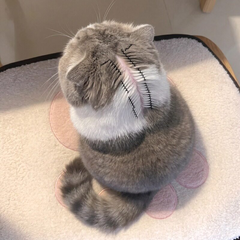 告别手扒!猫咪驱虫分毛夹子固定毛发辅助工具宠物发夹狗狗通用品