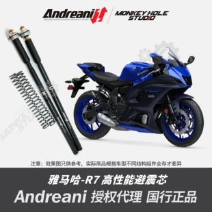 Andreani 安德烈尼 YAMAHA雅马哈 R7 改装避震器 减震器 前叉
