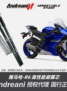 Andreani 安德烈尼 YAMAHA雅马哈 R6 改装避震器 减震器 前叉