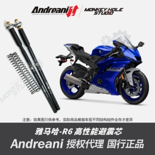 Andreani 安德烈尼 YAMAHA雅马哈 R6 改装避震器 减震器 前叉