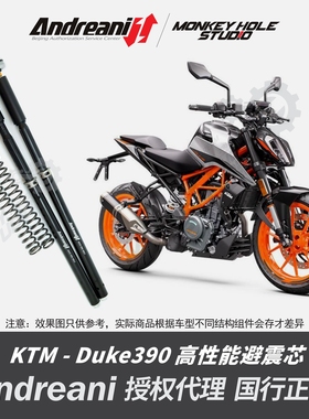 Andreani 安德烈尼 KTM DUKE 390 改装避震器  减震器 前叉