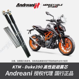 Andreani 安德烈尼 KTM DUKE 390 改装避震器 减震器 前叉
