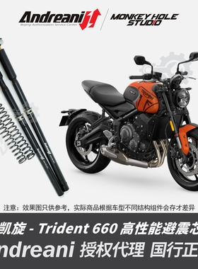 Andreani 安德烈尼 凯旋 Trident 660 改装避震器 减震器 前叉