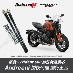 Andreani 安德烈尼 凯旋 Trident 660 改装避震器 减震器 前叉