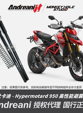 Andreani 安德烈尼 杜卡迪 Hypermotard 950 改装避震器  减震器