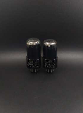 双顶美国TUNGSOL天唆6SN7/VT231/6N8P/CV181/ECC32/B65胆机电子管