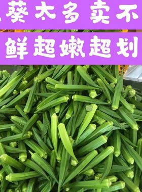 现摘发货秋葵彼物新鲜