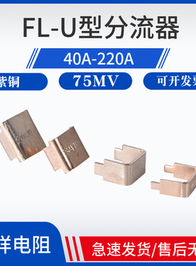 逆变焊机分流器40A 60A 180A 220A锰铜直插U型分流器75mV采样电阻